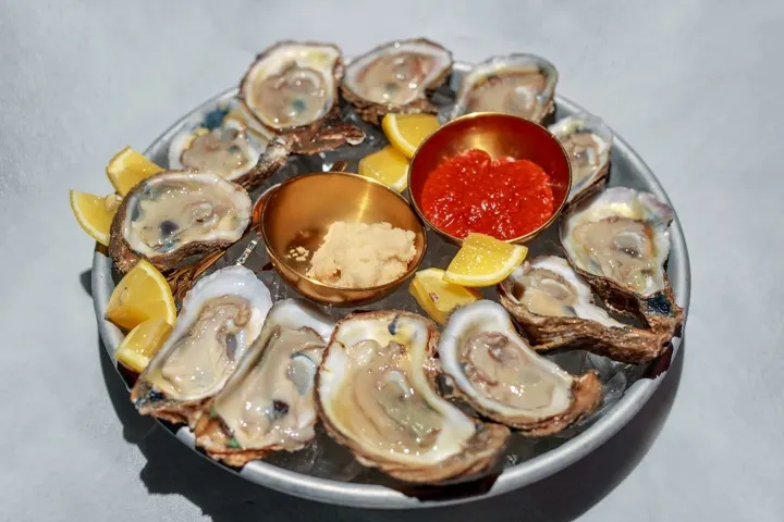 Oysters