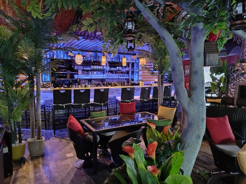 The illuminated bar seen through a leafy indoor tree