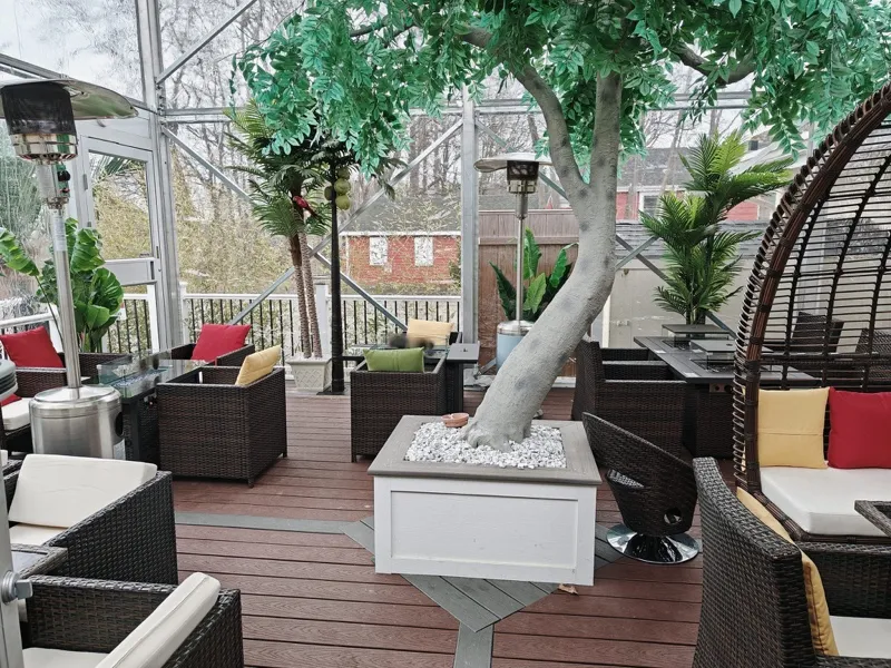Bright patio lounge with a tree in a white planter